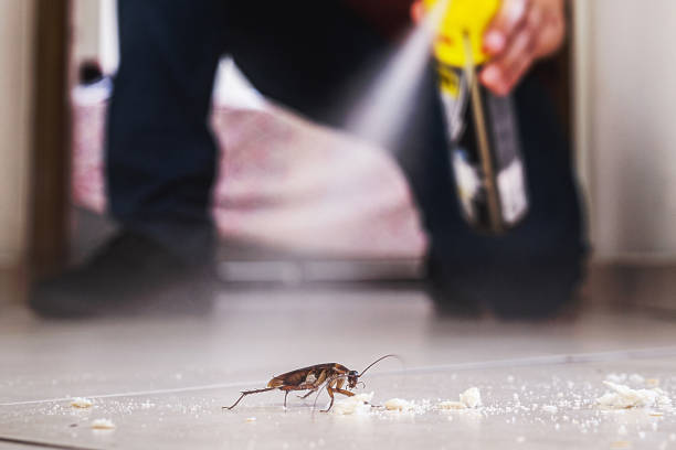 Pest Control Cost in Hammond, IN
