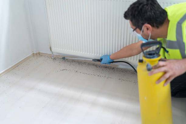 Best Flea Control Services  in Hammond, IN